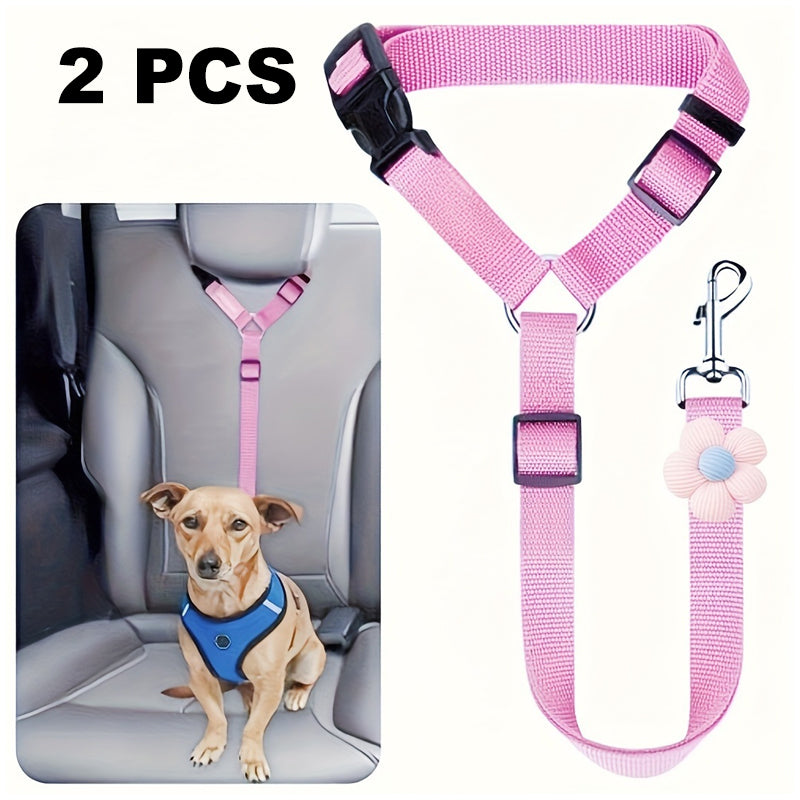 Ceinture de sécurité auto et laisse de promenade 2 en 1 pour chien