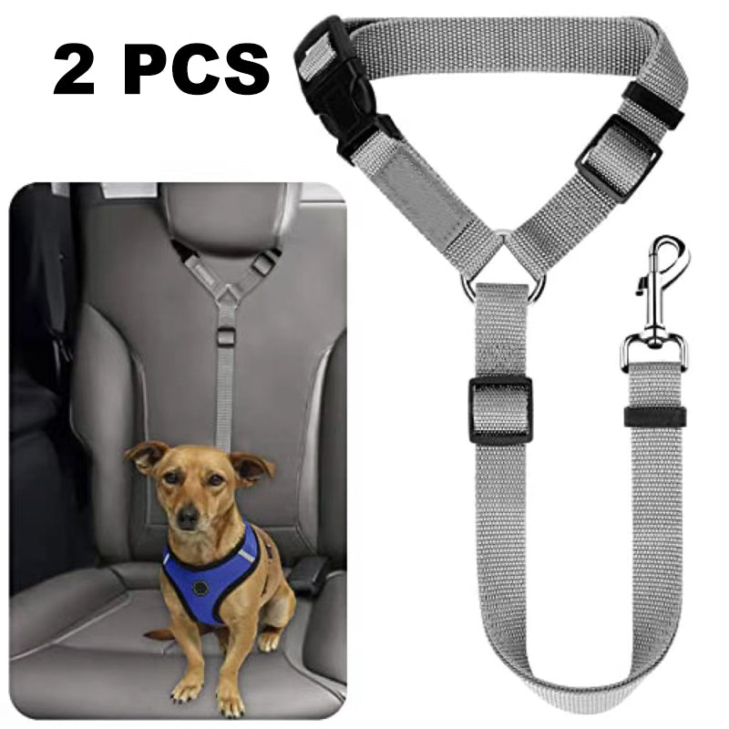 Ceinture de sécurité auto et laisse de promenade 2 en 1 pour chien