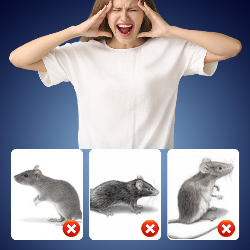 ⏳Spécial à durée limitée⏰Répulsif intelligent à ultrasons pour rongeurs🐁