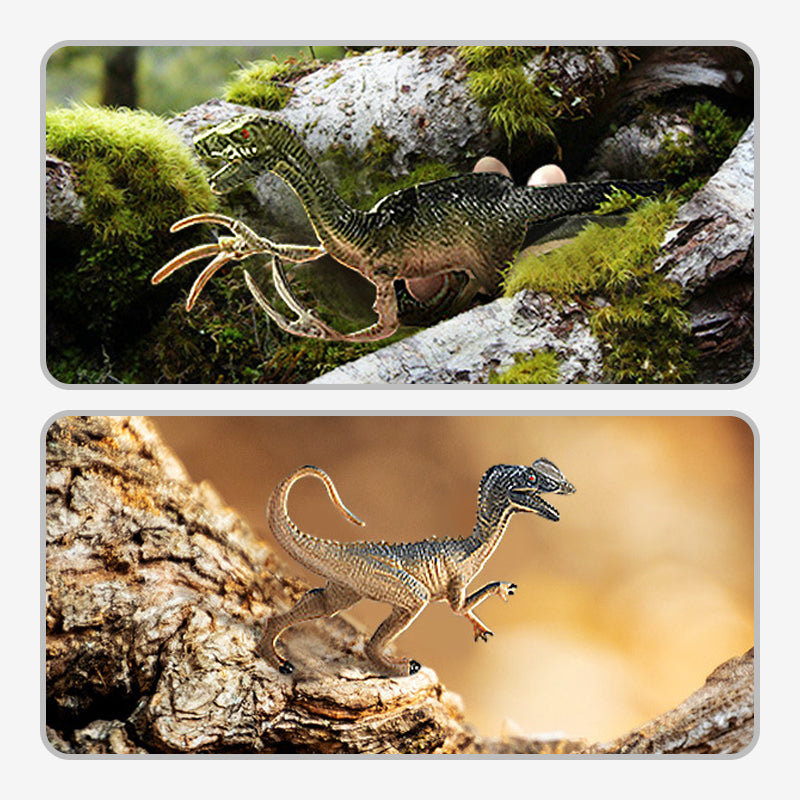 🦖 50% DE RÉDUCTION ⏰ Kit ludique et éducatif sur les dinosaures pour enfants – Fouille, assemble & apprends – Inclut fossiles, outils & fiches – parfait pour les petits paléontologues curieux 🦕