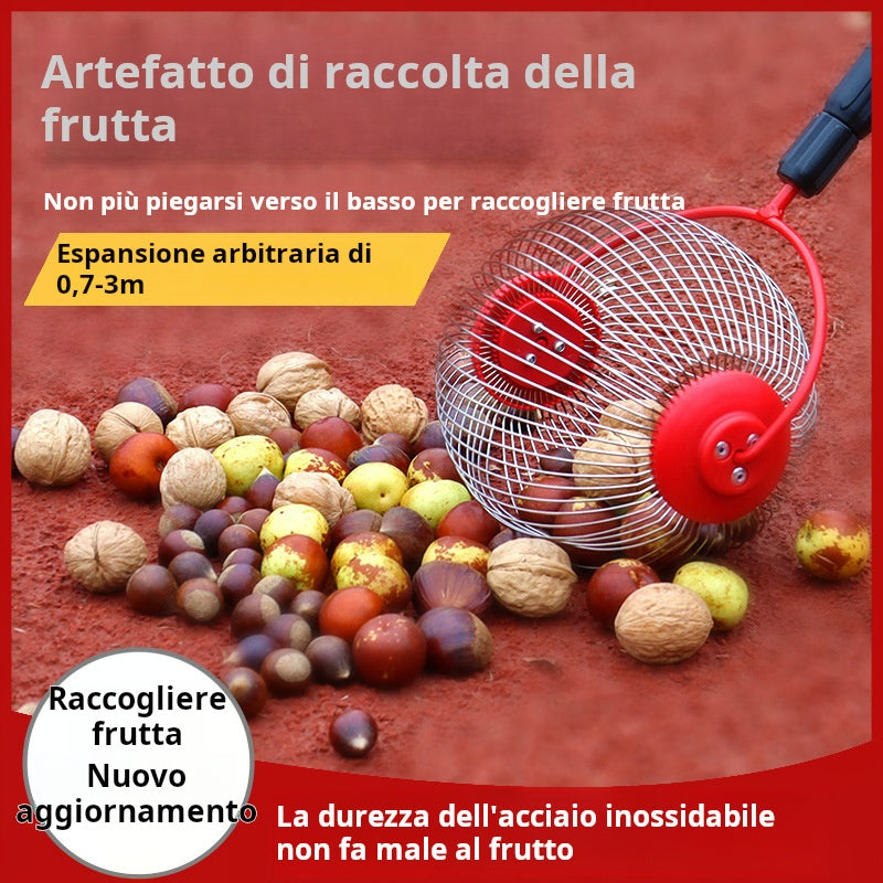 Un outil miracle pour ramasser rapidement des noix, des châtaignes et des fruits secs